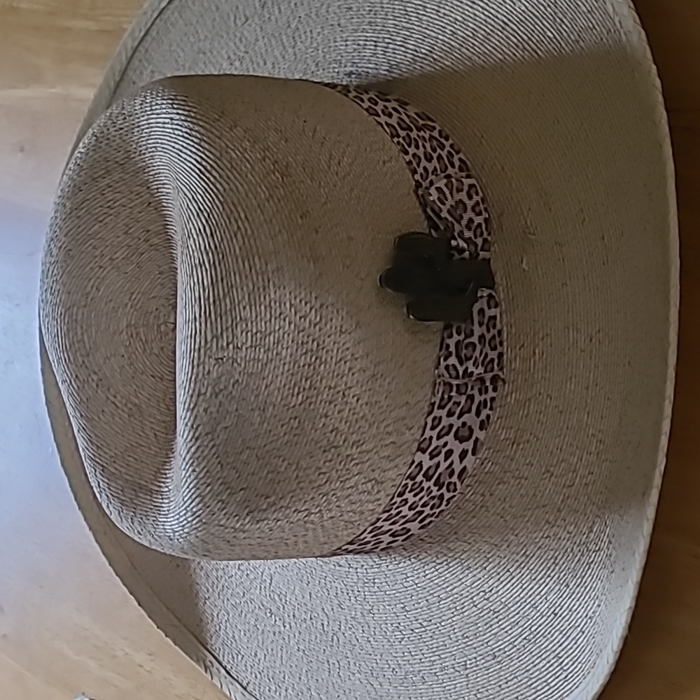 Charlie 1 Horse custom hat